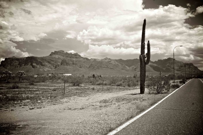 arizona desert